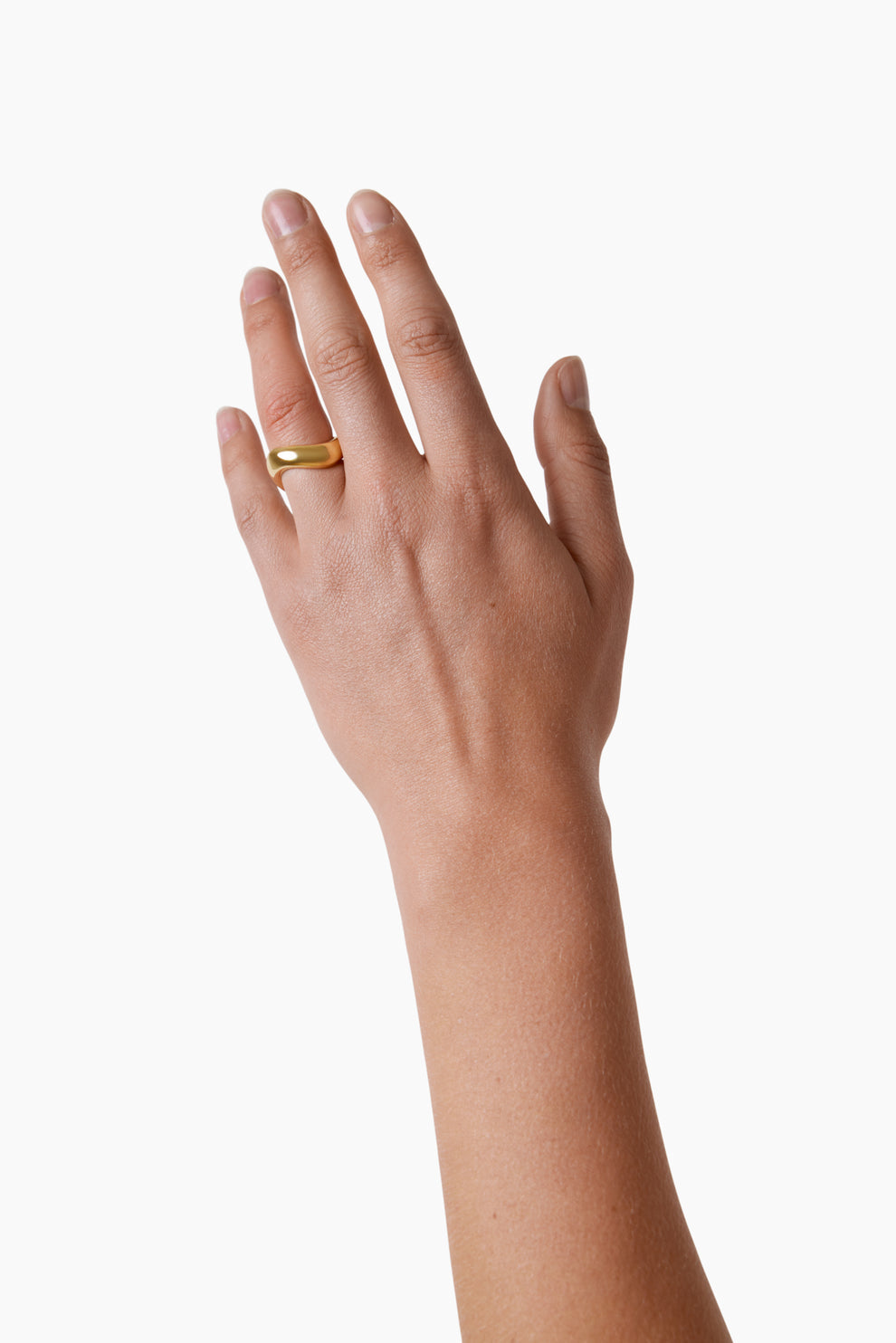 THE IVALO RING